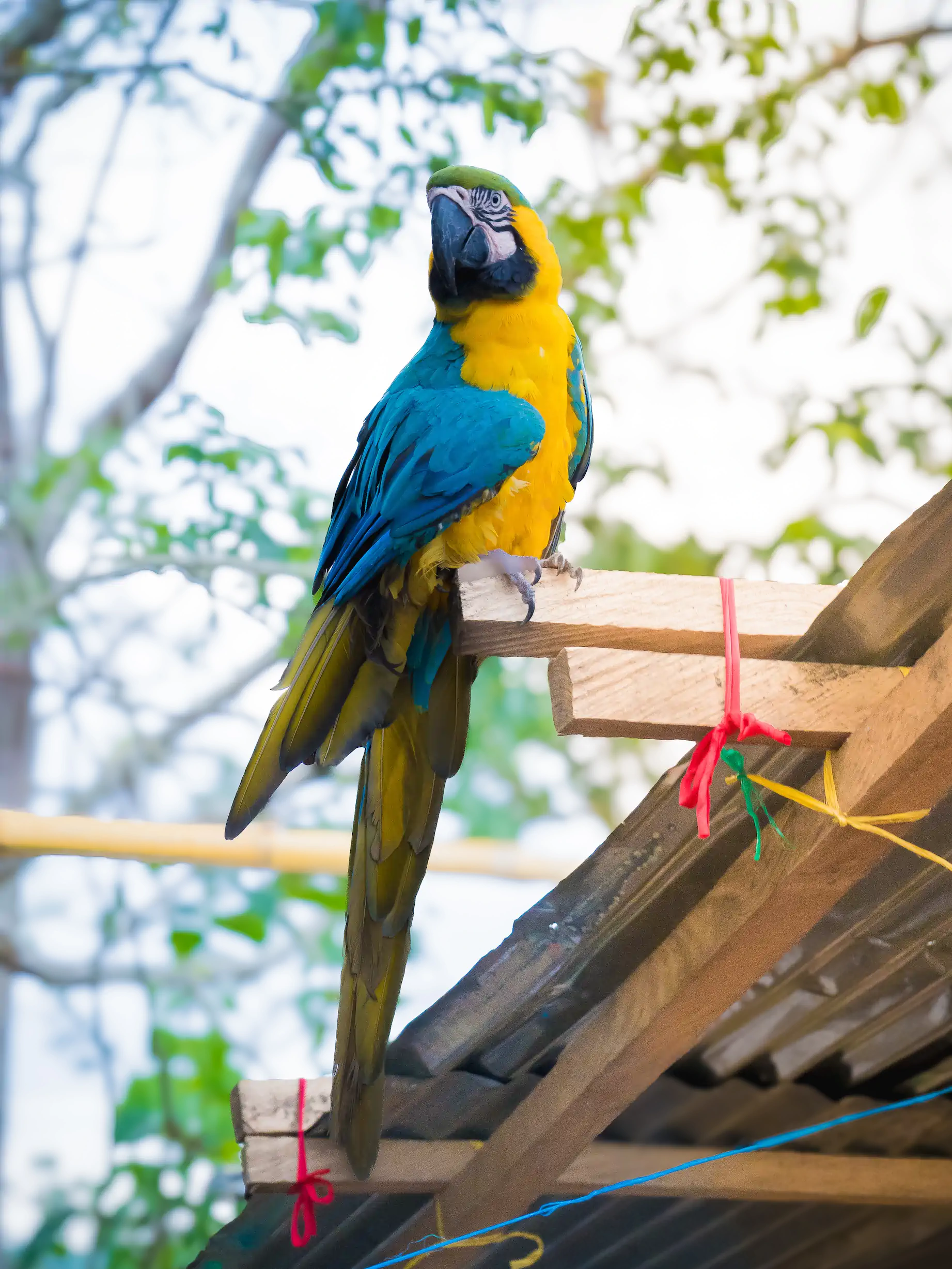 Fundación Hay Esperanza — foto 20